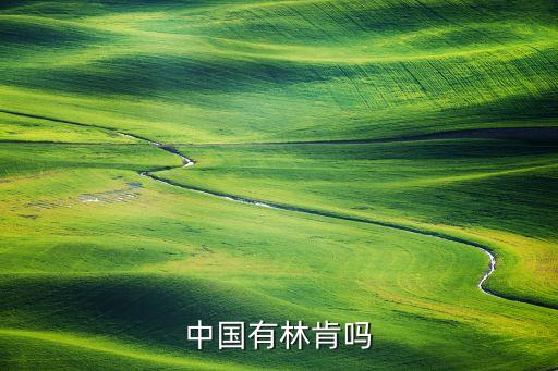中國林肯汽車，中國有林肯嗎...